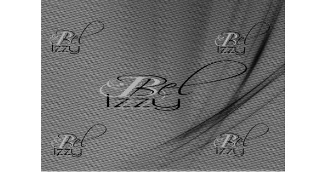 Logo Belizzy